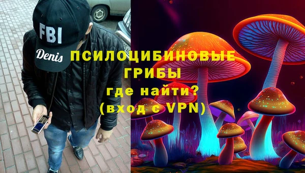 гидра Кулебаки