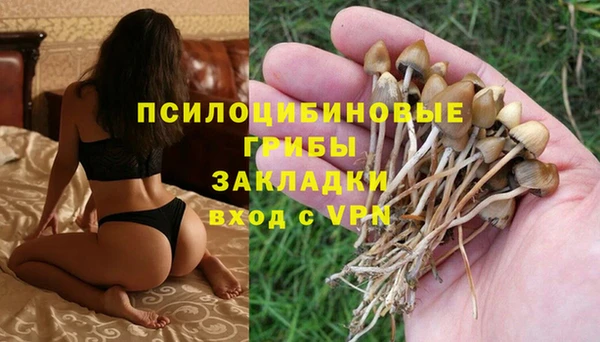 героин Кукмор