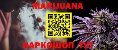 гидра Кингисепп