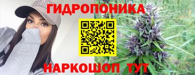 гидра Кингисепп