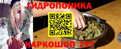 гидра Кингисепп