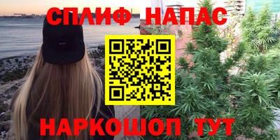 гидра Кингисепп