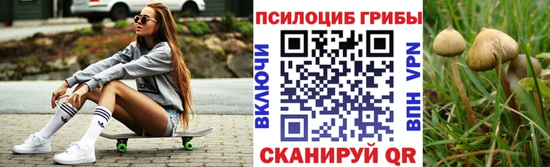 как найти закладки  Майский  Псилоцибиновые грибы Cubensis 