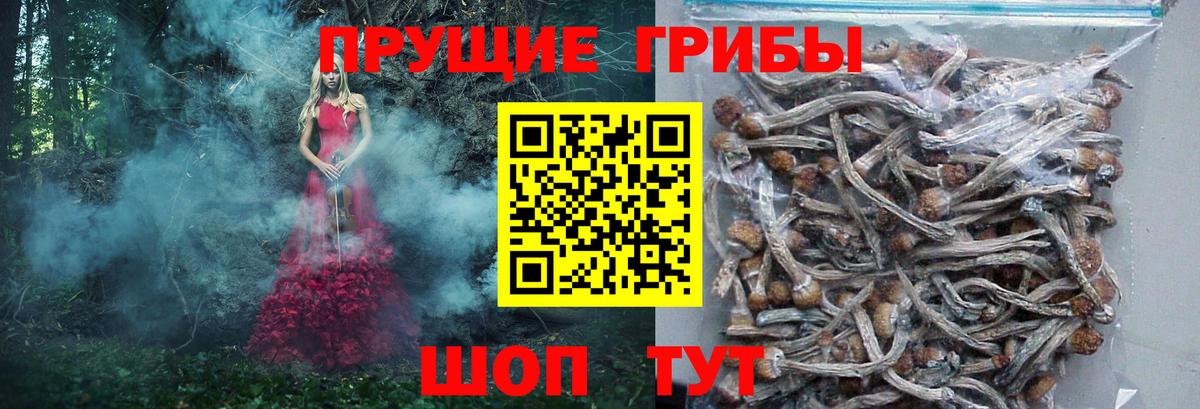 Псилоцибиновые грибы ЛСД  Псилоцибиновые грибы мухоморы  Майский 