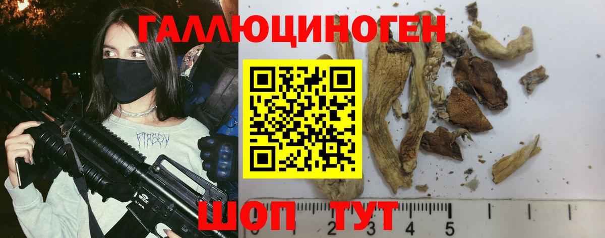 Галлюциногенные грибы GOLDEN TEACHER  Вход с VPN  Майский  Галлюциногенные грибы Magic Shrooms 