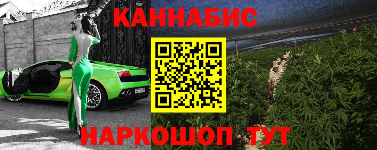 Шишки марихуана семена  Майский  МАРИХУАНА MAZAR 